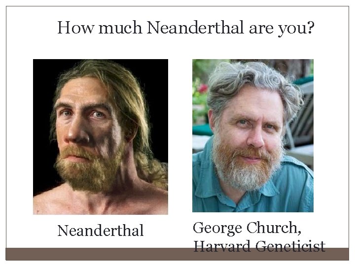 How much Neanderthal are you? Neanderthal George Church, Harvard Geneticist 