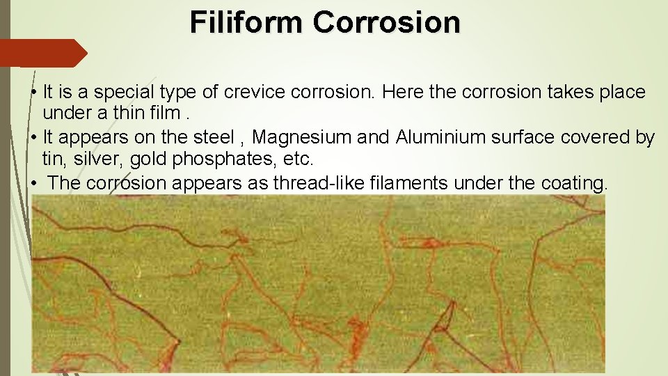 Filiform Corrosion • It is a special type of crevice corrosion. Here the corrosion