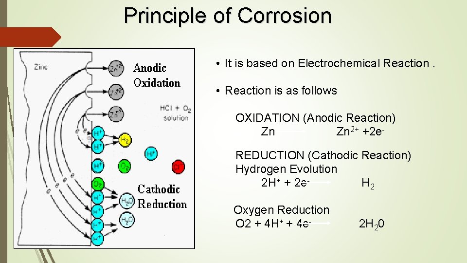 Principle of Corrosion • It is based on Electrochemical Reaction. • Reaction is as