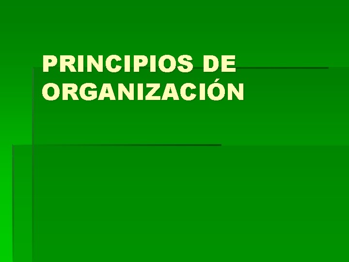 PRINCIPIOS DE ORGANIZACIÓN 