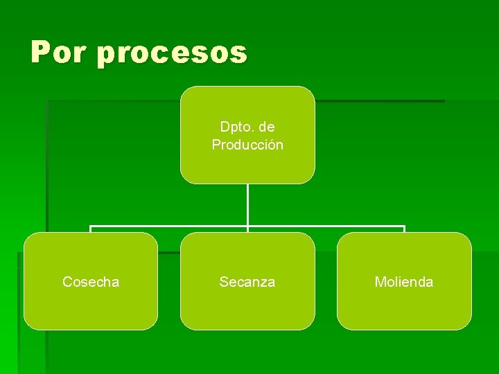 Por procesos Dpto. de Producción Cosecha Secanza Molienda 