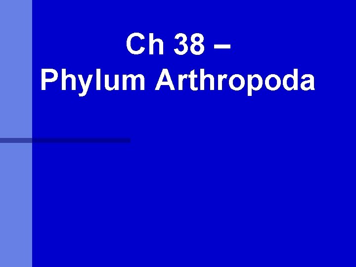Ch 38 – Phylum Arthropoda 