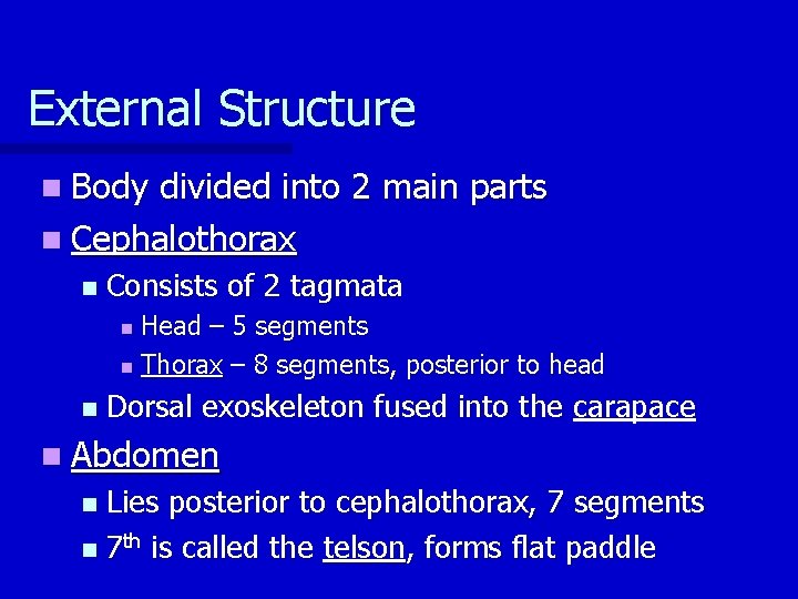 External Structure n Body divided into 2 main parts n Cephalothorax n Consists of