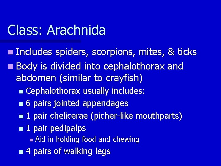 Class: Arachnida n Includes spiders, scorpions, mites, & ticks n Body is divided into