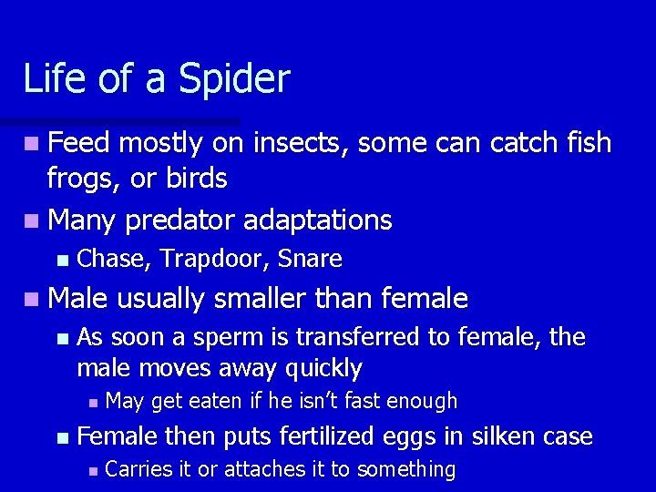 Life of a Spider n Feed mostly on insects, some can catch fish frogs,