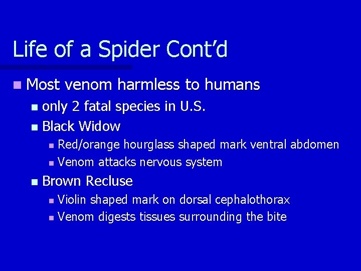 Life of a Spider Cont’d n Most venom harmless to humans only 2 fatal