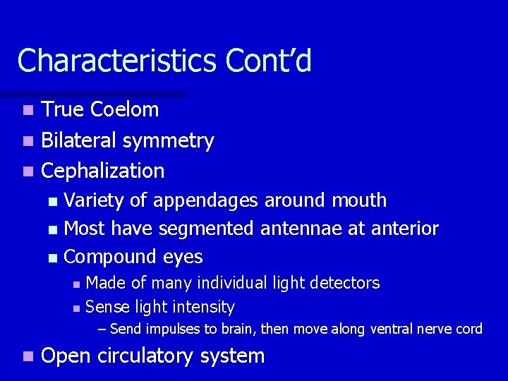 Characteristics Cont’d True Coelom n Bilateral symmetry n Cephalization n Variety of appendages around