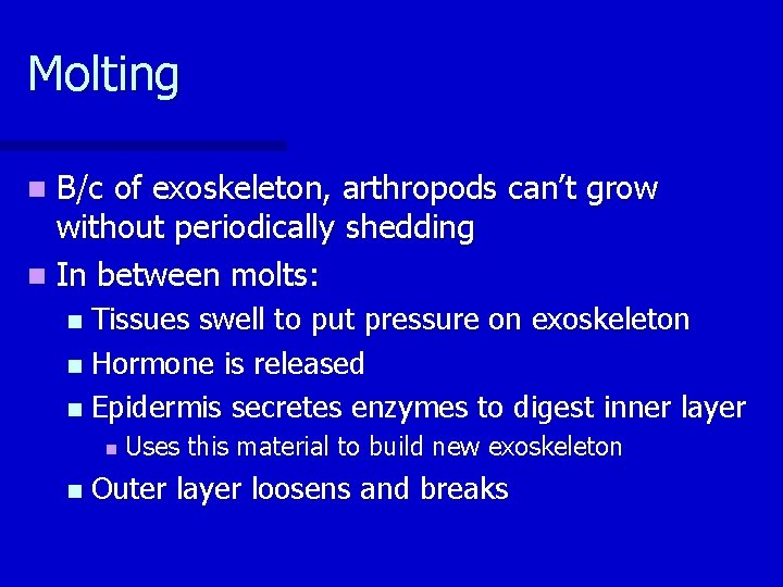 Molting B/c of exoskeleton, arthropods can’t grow without periodically shedding n In between molts: