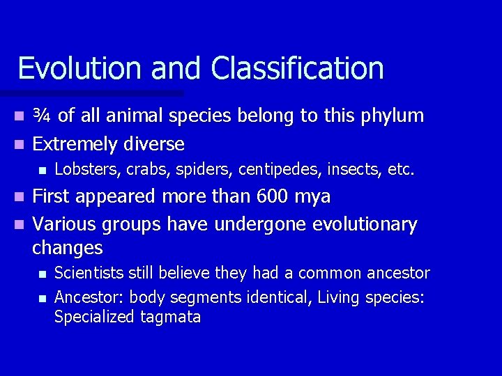 Evolution and Classification ¾ of all animal species belong to this phylum n Extremely