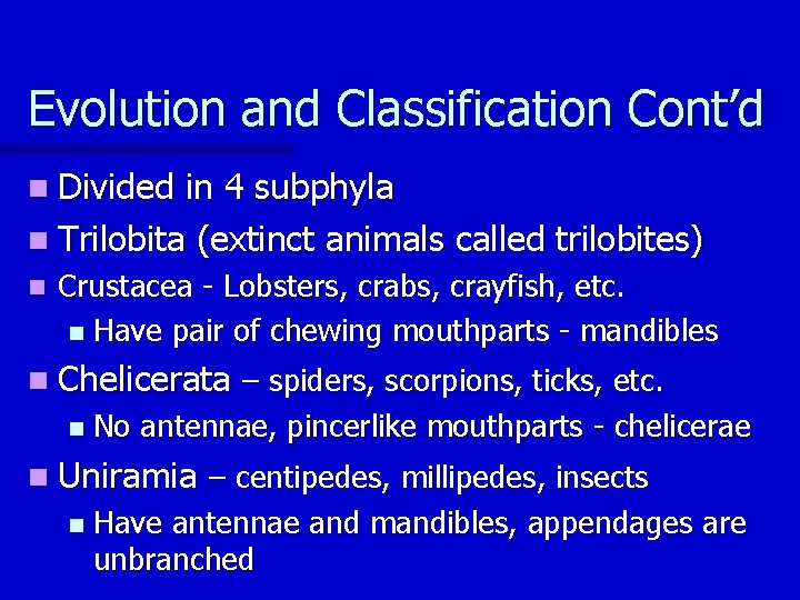 Evolution and Classification Cont’d n Divided in 4 subphyla n Trilobita (extinct animals called