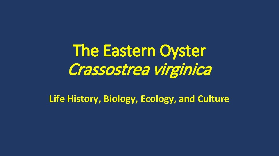 The Eastern Oyster Crassostrea virginica Life History, Biology, Ecology, and Culture 