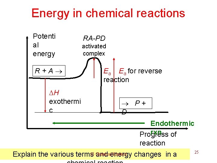 Energy in chemical reactions Potenti al energy R + A H exothermi c RA-PD