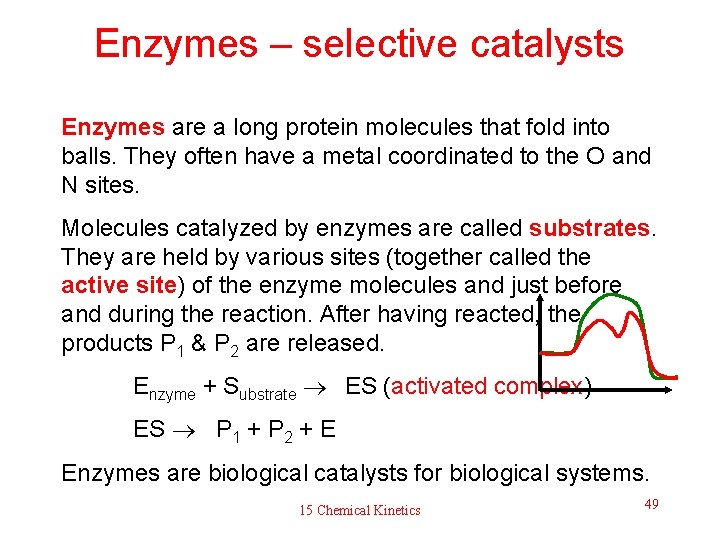 Enzymes – selective catalysts Enzymes are a long protein molecules that fold into balls.