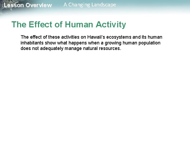 Lesson Overview A Changing Landscape The Effect of Human Activity The effect of these Lesson Overview A Changing Landscape The Effect of Human Activity The effect of these