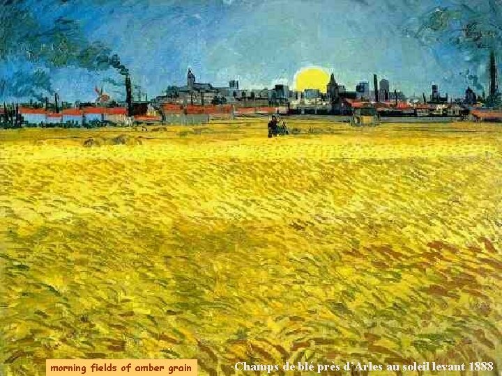 morning fields of amber grain Champs de blé près d’Arles au soleil levant 1888