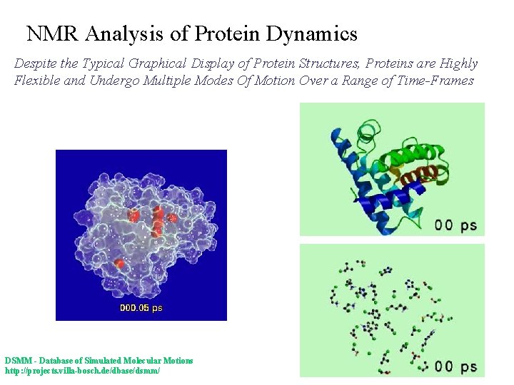 NMR Analysis of Protein Dynamics Despite the Typical Graphical Display of Protein Structures, Proteins