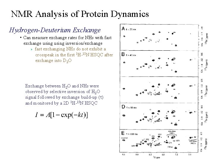 NMR Analysis of Protein Dynamics Hydrogen-Deuterium Exchange • Can measure exchange rates for NHs