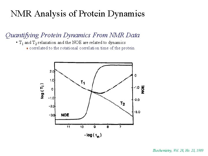 NMR Analysis of Protein Dynamics Quantifying Protein Dynamics From NMR Data • T 1