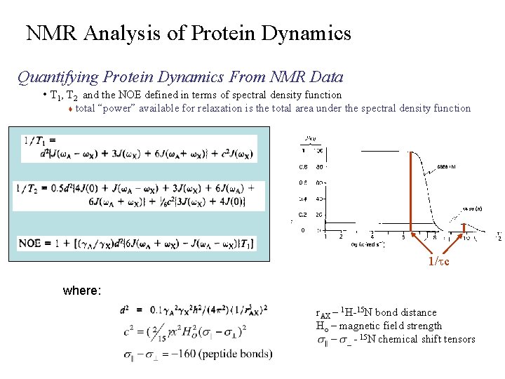 NMR Analysis of Protein Dynamics Quantifying Protein Dynamics From NMR Data • T 1,