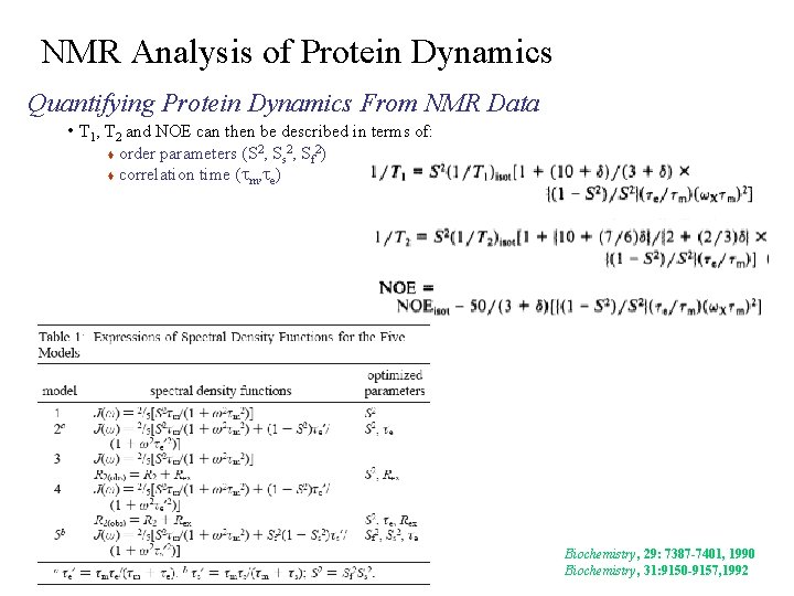 NMR Analysis of Protein Dynamics Quantifying Protein Dynamics From NMR Data • T 1,