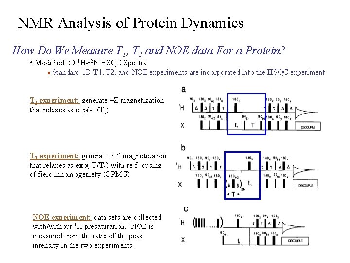 NMR Analysis of Protein Dynamics How Do We Measure T 1, T 2 and