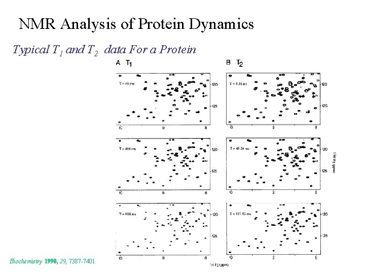 NMR Analysis of Protein Dynamics Typical T 1 and T 2 data For a