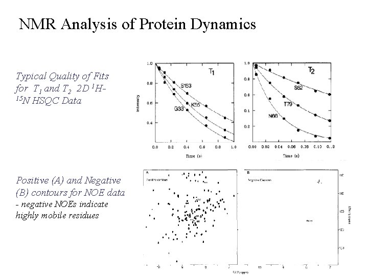 NMR Analysis of Protein Dynamics Typical Quality of Fits for T 1 and T