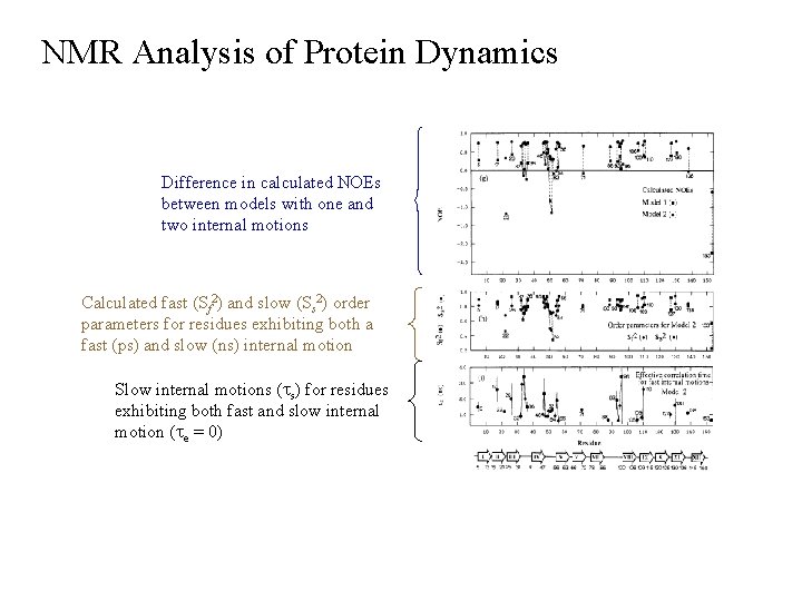 NMR Analysis of Protein Dynamics Difference in calculated NOEs between models with one and