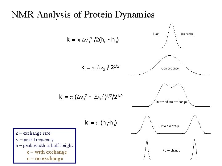NMR Analysis of Protein Dynamics k = p Dno 2 /2(he - ho) k
