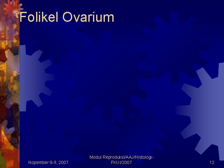 Folikel Ovarium Nopember 8 -9, 2007 Modul Reproduksi/AAJ/Histologi. FKUI/2007 12 