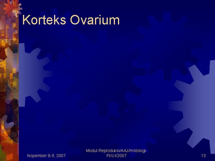 Korteks Ovarium Nopember 8 -9, 2007 Modul Reproduksi/AAJ/Histologi. FKUI/2007 13 Korteks Ovarium Nopember 8 -9, 2007 Modul Reproduksi/AAJ/Histologi. FKUI/2007 13