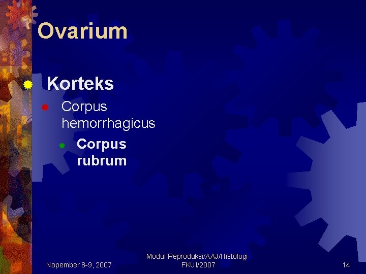 Ovarium ® Korteks ® Corpus hemorrhagicus ® Corpus rubrum Nopember 8 -9, 2007 Modul