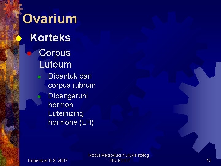 Ovarium ® Korteks ® Corpus Luteum ® ® Dibentuk dari corpus rubrum Dipengaruhi hormon