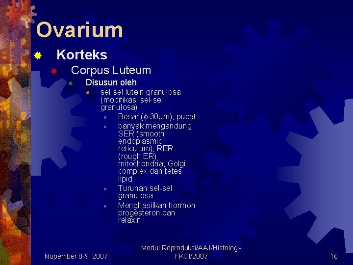 Ovarium ® Korteks ® Corpus Luteum ® Disusun oleh l sel-sel lutein granulosa (modifikasi