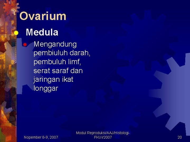 Ovarium ® Medula ® Mengandung pembiuluh darah, pembuluh limf, serat saraf dan jaringan ikat