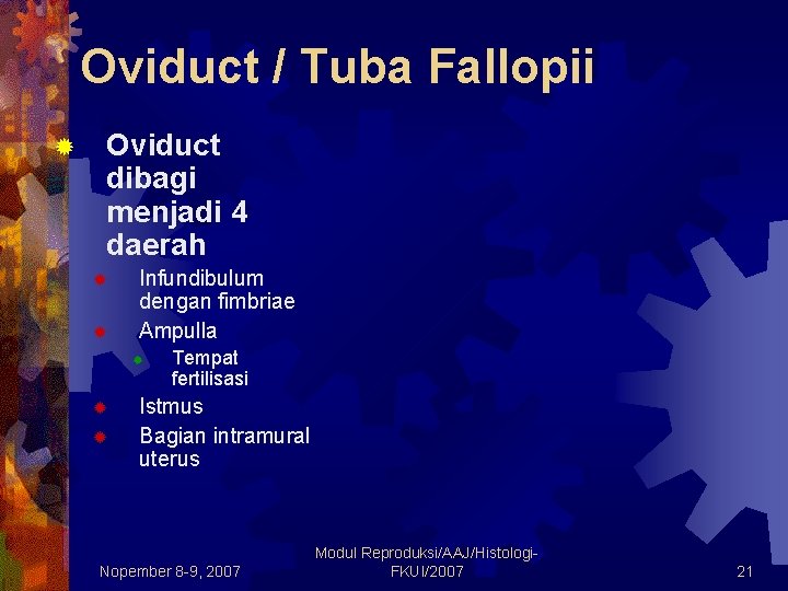 Oviduct / Tuba Fallopii ® Oviduct dibagi menjadi 4 daerah ® ® Infundibulum dengan