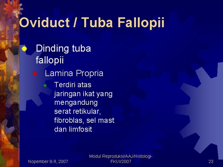 Oviduct / Tuba Fallopii ® Dinding tuba fallopii ® Lamina Propria ® Terdiri atas