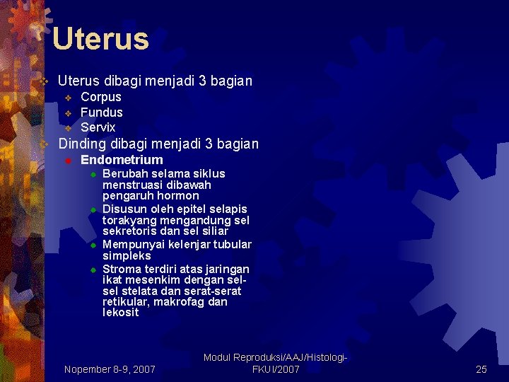 Uterus v Uterus dibagi menjadi 3 bagian v v Corpus Fundus Servix Dinding dibagi Uterus v Uterus dibagi menjadi 3 bagian v v Corpus Fundus Servix Dinding dibagi