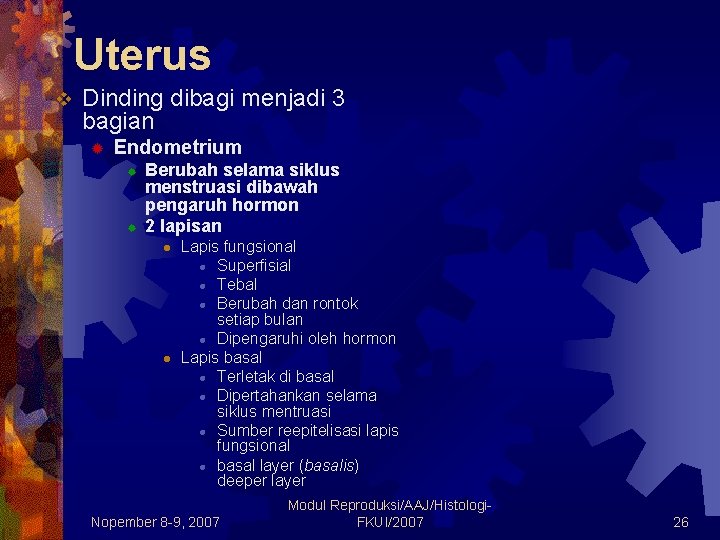 Uterus v Dinding dibagi menjadi 3 bagian ® Endometrium ® ® Berubah selama siklus