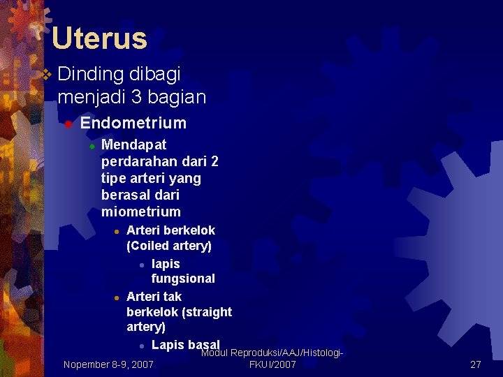 Uterus v Dinding dibagi menjadi 3 bagian ® Endometrium ® Mendapat perdarahan dari 2