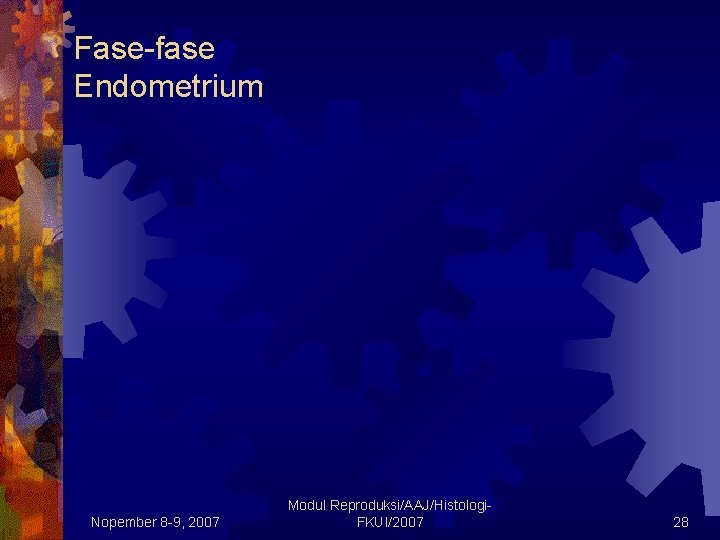 Fase-fase Endometrium Nopember 8 -9, 2007 Modul Reproduksi/AAJ/Histologi. FKUI/2007 28 Fase-fase Endometrium Nopember 8 -9, 2007 Modul Reproduksi/AAJ/Histologi. FKUI/2007 28