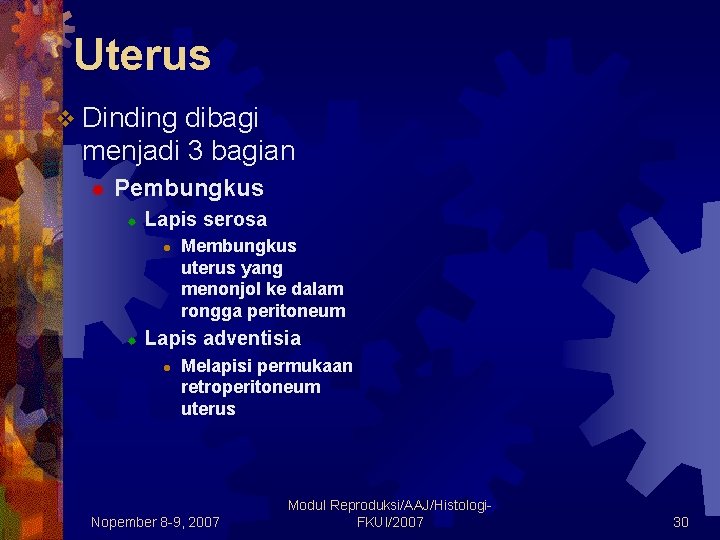 Uterus v Dinding dibagi menjadi 3 bagian ® Pembungkus ® Lapis serosa l ®