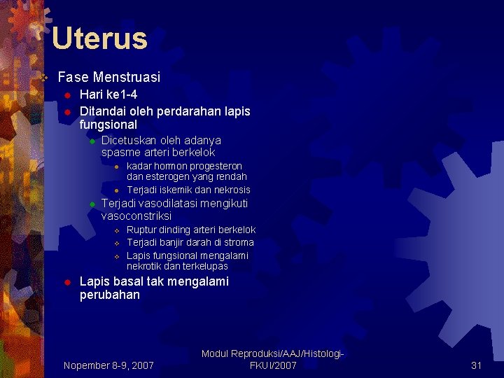 Uterus v Fase Menstruasi ® ® Hari ke 1 -4 Ditandai oleh perdarahan lapis