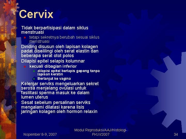 Cervix v Tidak berpartisipasi dalam siklus menstruasi ® tetapi sekretnya berubah sesuai siklus menstruasi Cervix v Tidak berpartisipasi dalam siklus menstruasi ® tetapi sekretnya berubah sesuai siklus menstruasi