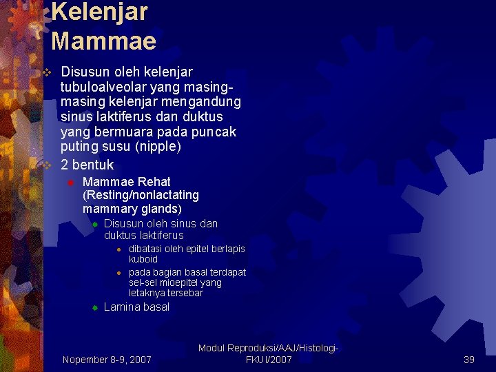 Kelenjar Mammae Disusun oleh kelenjar tubuloalveolar yang masing kelenjar mengandung sinus laktiferus dan duktus