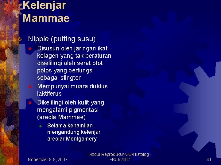 Kelenjar Mammae v Nipple (putting susu) ® ® ® Disusun oleh jaringan ikat kolagen