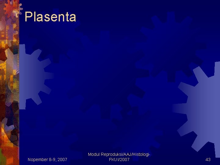 Plasenta Nopember 8 -9, 2007 Modul Reproduksi/AAJ/Histologi. FKUI/2007 43 