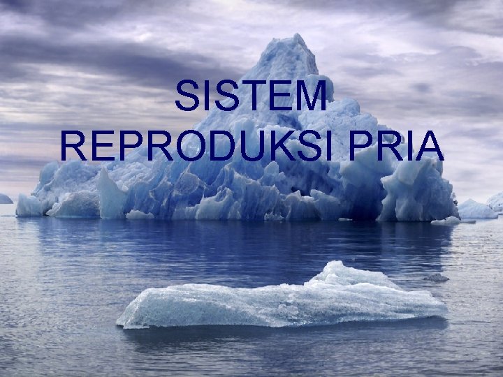 SISTEM REPRODUKSI PRIA 