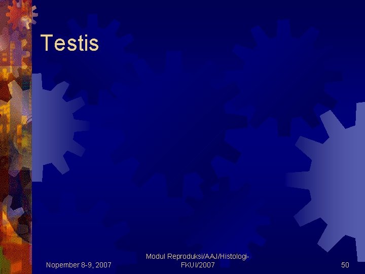 Testis Nopember 8 -9, 2007 Modul Reproduksi/AAJ/Histologi. FKUI/2007 50 