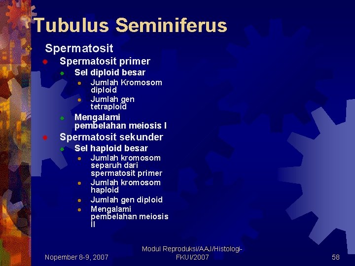 Tubulus Seminiferus v Spermatosit ® Spermatosit primer ® Sel diploid besar l l ® Tubulus Seminiferus v Spermatosit ® Spermatosit primer ® Sel diploid besar l l ®